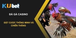 Đá gà Casino tại Kubet - Cơ hội chiến thắng lớn mỗi ngày