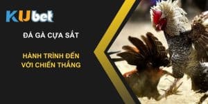 Trải nghiệm cá cược đá gà cựa sắt tại Kubet: Hành trình đến với chiến thắng