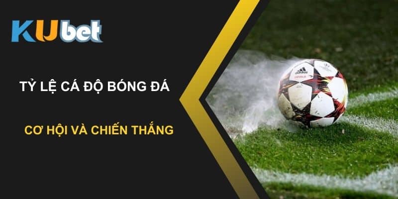 Tìm hiểu về tỷ lệ cá độ bóng đá trên Kubet: Cơ hội và chiến thắng